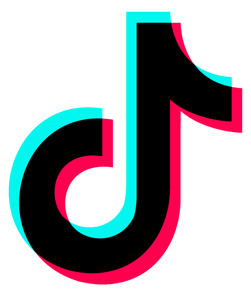 TikTok Icon